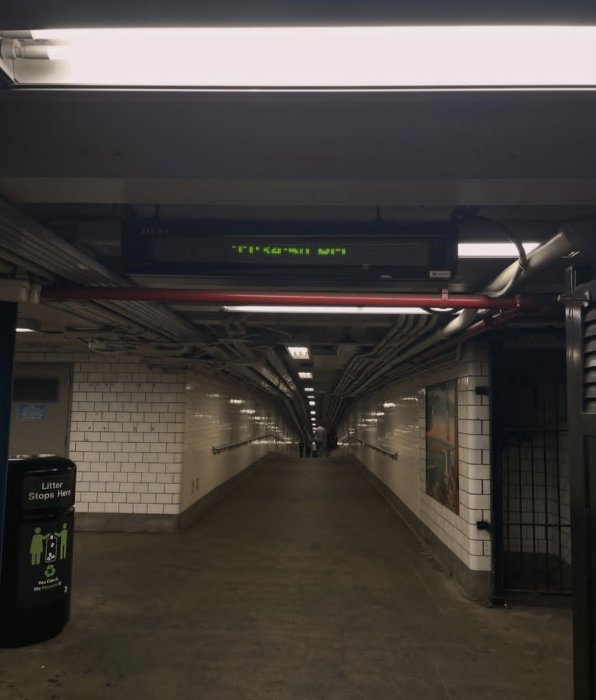 81129